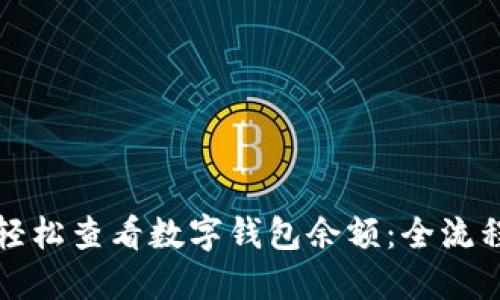 如何轻松查看数字钱包余额：全流程指南